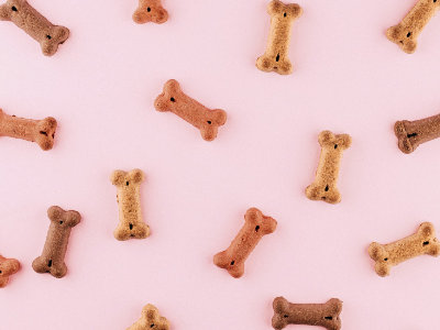 Reading dog food labels