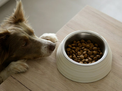 Food processing temperature