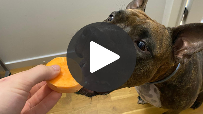 Watch the video presentation